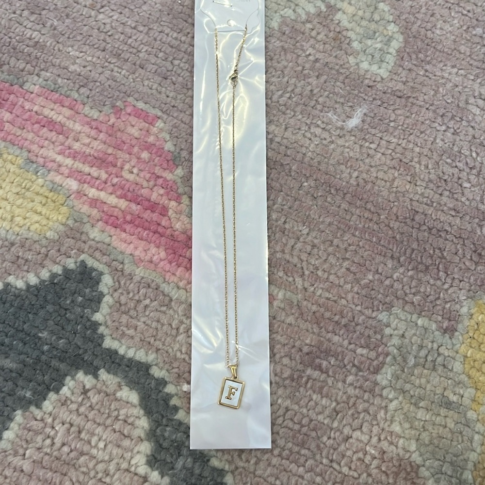 Stainless Steel F necklace